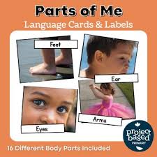 Free Life Skills Flash Cards