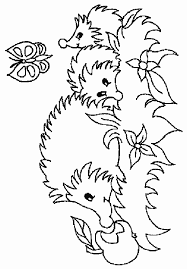 Malvorlage Kostenlos Igel Coloring Pages Cool Coloring Pages Summer Coloring Pages