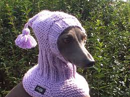Exactly how and when this miniaturized greyhound was developed has been lost in time. Dog Snood Italian Greyhound Snood Hand Knit Dog Hat Majstyle