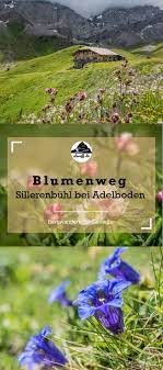 pin auf wandern schweiz hiking switzerland