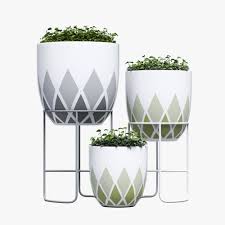 Designtwins Harlequin Pot 3d Model Max Obj 3ds Fbx 1 Desenho De Vasos De Flores Vasos Modelos De Vasos
