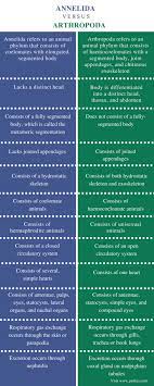 Difference Between Annelida And Arthropoda Pediaa Com Biology Notes Similarities And Differences Segmentation