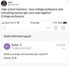 20 Ways High School Teachers And College Professors Are Completely Different In 2020 Funny College Professor Funny Relatable Memes