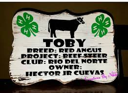Stall Card For Livestock Shows Showing Livestock Show Cows Stall Decorations
