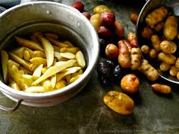 The ozette, also known locally as makah ozette or anna cheeka's ozette is the oldest variety of potato grown in the pacific northwest region. Rose Finn Apple Fingerling Potatoes The Gardener S Eden