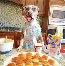 We did not find results for: Los 10 Alimentos Mas Toxicos Para Los Perros Como Educar A Un Cachorro