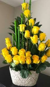 Farida Johnson (jofarida760)