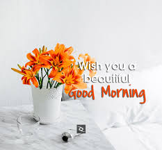 30 Sweet Good Morning Wishes Images Free Download November 2021