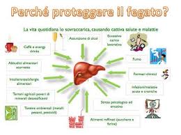 Per disintossicare e depurare il fegato vi sono alcuni alimenti che vanno scelti al posto di altri e che sono utili a questo scopo. Come Pulire E Depurare Il Fegato Aggiungendo Questi Alimenti Alla