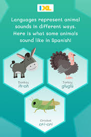 Learn New Animal Noises In Spanish Sundayspanish Animal Sounds Animals Spanish