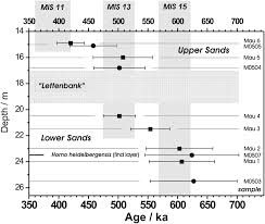 Depends on the radiometric decay of one element into another. Radiometric Dating Of The Type Site For Homo Heidelbergensis At Mauer Germany Pnas