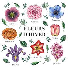 Maybe you would like to learn more about one of these? Tara Msellati Flowers Paris Product Service Florist Facebook