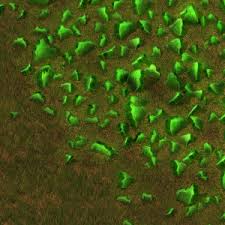 Although many types of minerals contain uranium in small quantities, far fewer hold enough extractable uranium to be economically useful for mining operations. File Uranium Ore Entity Png Factorio Wiki