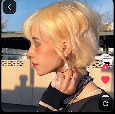 Hair model needed for bleach and tone