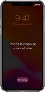 Contact your carrier and request an unlock. Passcode Removal Fmi Off