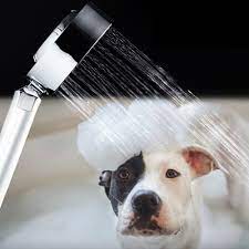 Double Sided Handheld Pet Showerhead Fureverlovingpets Dog Shower Pets Shower Massage