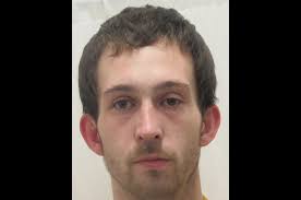 Pocatello man gets 4 to 8 years in prison after pleading guilty to five  felonies