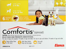 comfortis online for cats