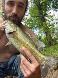 Smallies still biting well
