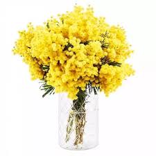 Make sure you have all the important details covered by using this easy‑to‑follow guide on how to send a package internationally. Mimosa Bouquet Floraqueen