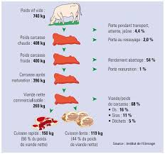 Rendement Type D Une Vache Allaitante Economie Et Metiers Viande Bovine Vache Viande