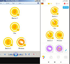 It includes apps for editing, torrent, media streaming, task management, pc optimizing, etc. Are There Always Differences Between The App And The Website Duolingo