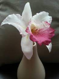 Sugar Cattleya Orchid Sugar Flowers Tutorial Cake Decorating Flowers Gum Paste Flowers