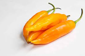 Aji Amarillo Do Peru Aji Cristal Capsicum Baccatum
