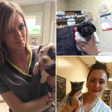 Conveniently located at 2560 sunrise highway in bellmore, long island new york. Free Exam For Kittens And Puppies Animal Hospital Of Fairfield