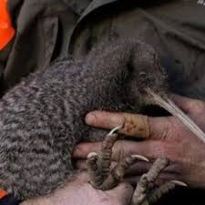 Slava Semeshko private HD passion tape