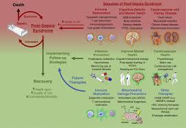 Almost any type of infection can lead to sepsis. Exploring The Pathophysiology Of Post Sepsis Syndrome To Identify Therapeutic Opportunities Sciencedirect