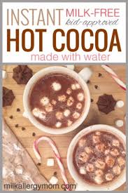 Instant Hot Chocolate Made With Water Dairy Free Kid Approved Hot Chocolate Recipe Cocoa Dairy Free Hot Chocolate Cocoa Powder Recipes