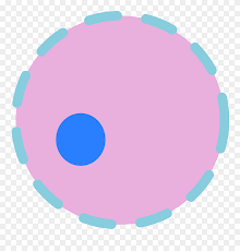 In a growing of differentiating cell, the nucleus is metabolically active, producing dna and rna. Plant Cell Nucleus Png Clipart 5470547 Pinclipart