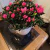 (ftd), also selling as florists transworld delivery. Top 1 718 Ftd Reviews