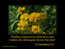You were faithful over a few things, i will make you ruler over many things. Bibical Quotes And Flowers Quotesgram