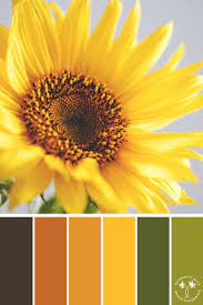 Sunflower Yellow Color Palette Green Color Palette Bright Color Palette Flower Color Palette Color Palette Bright Color Palette Yellow Color Palette