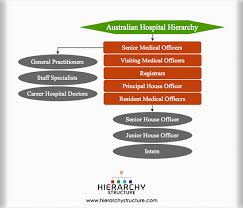 Australian Hospital Hierarchy Management Structure Chart