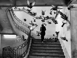 Image result for henri cartier bresson