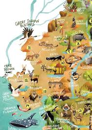 115 Animals 46 Biodiversity Hotspots One Giant Illustration Here Is The Wildlife Map Of India Out On Green Humour To M India Map Wildlife Of India Wildlife