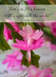 God Is In His Heaven All S Right With The World God S In His Heaven All S Right With The World Briana Thomas David Austin Roses Rose