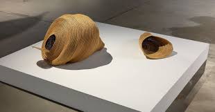 Bildergebnis für Yvonne Koolmatrie