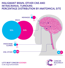 Over the last 20 years, the number of patients with this type of tumor more than doubled, from 1,250 to 3,000. Brain Other Cns And Intracranial Tumours Incidence Statistics Cancer Research Uk