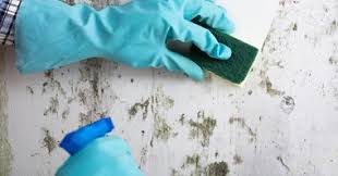 That's why real insurance offers home insurance products to suit a multitude of living conditions. Claims For Mould Damage Through Your Home And Contents Insurance