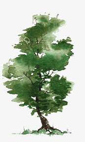 Tree Png Green Plant Tree Tree Clipart Watercolor Watercolor Trees Watercolor Landscape Watercolor Tree