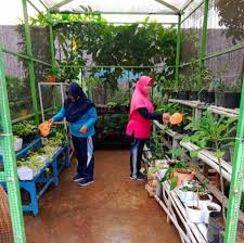Mungkin pemilihan kepala sekolah atau ketua kelas. Green House Ganesha Perwujudan Dukungan Terhadap Program Adiwiyata Smpn 1 Mranggen