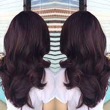 Shareig Deep Violet Red Brown Level 5 Hairbyjuju Nofilter Singlecolorprocess Violet Hair Hair Styles Brown Hair Colors