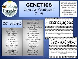 Check spelling or type a new query. Genetics Word Wall Vocabulary Cards Teaching Resources