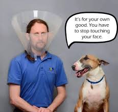 We know why people come to our site, especially in this post, which is about funny dog memes. Still More Memes About The Quarantine To Make You Smile Pittsburgh Magazine