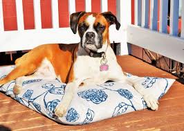 It is a dog bed made of a combination of luxurious linen and gray. Sale Dog Bed Cover Blue Dog Beds Ready To Ship Nautical Dog Beds Fits 2 Queen Pillows Pet Bed Puppy Be Nautical Dog Bed Blue Dog Bed Fashionable Dog Beds