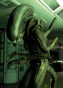 Xenomorph | Alien Species | Fandom